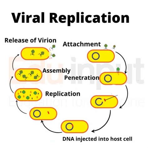 iyot viral|Viral – iyotFlix.com .